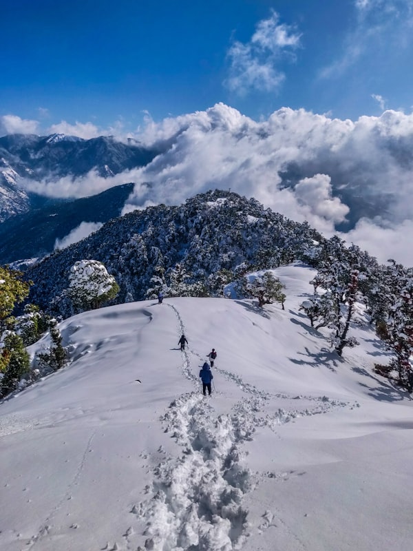 Snow-capped Himalayan mountain range with green valley